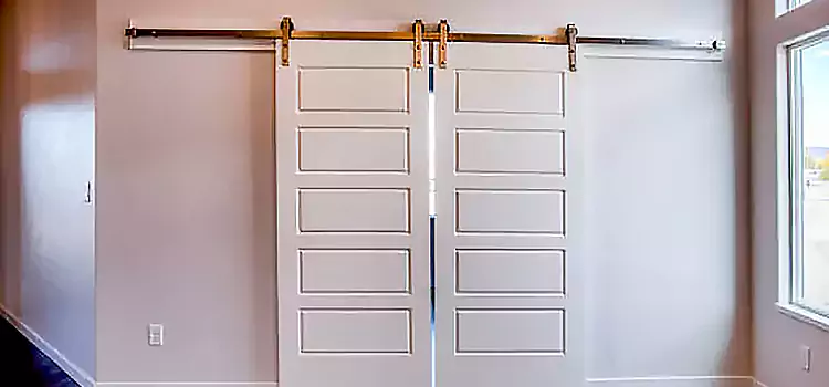 Glass Barn Door with Installation Hardware Kit Camden